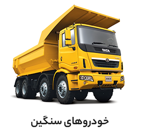 cat07