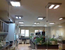 pic01